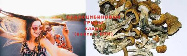 мет Алексеевка