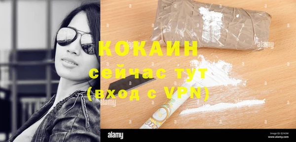 соль ск Алзамай